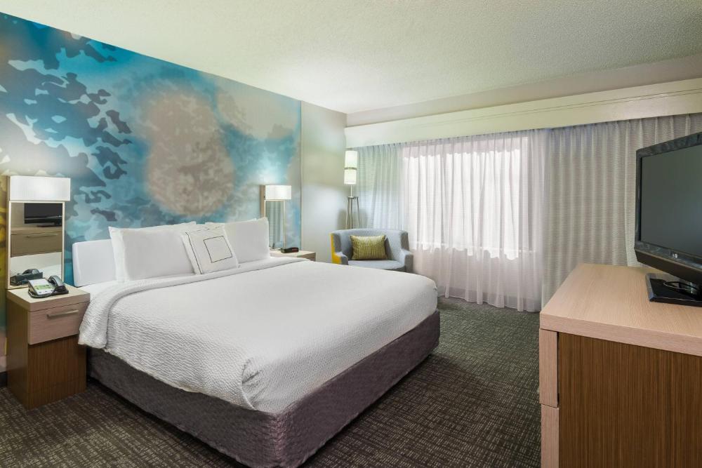 One-Bedroom King Suite with Sofa Bed interior